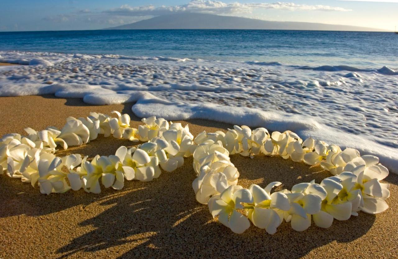 הונולולו Diamond Head Views Retreat With Free Parking & Near Waikiki Beach! מראה חיצוני תמונה