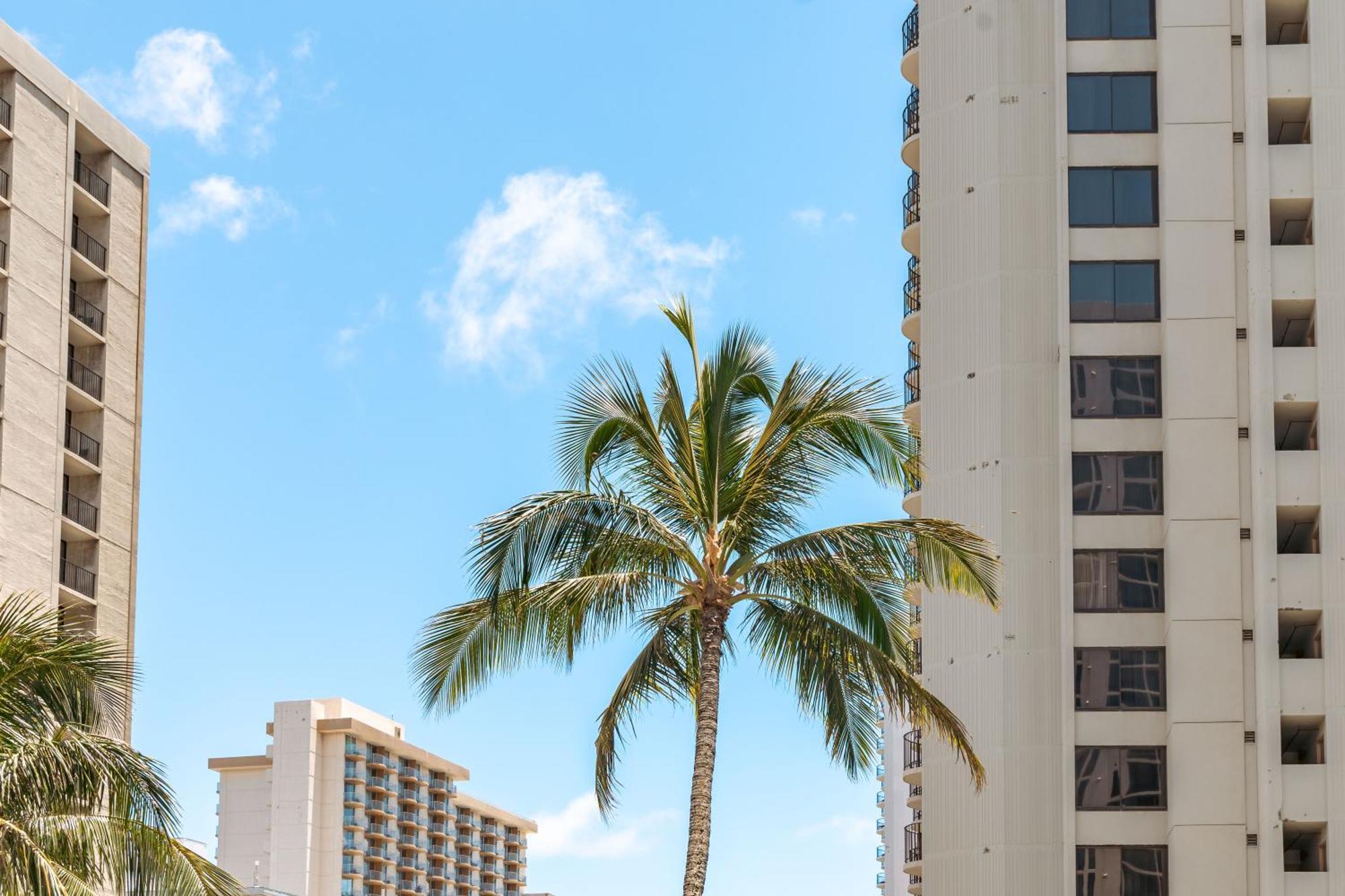 הונולולו Diamond Head Views Retreat With Free Parking & Near Waikiki Beach! מראה חיצוני תמונה